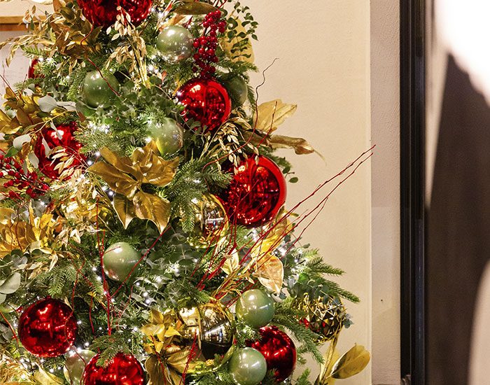 nochebuena-